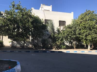 فيلا للبيع قرية النورس السياحية الإسماعيلية موقع مميز