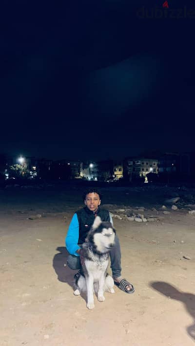 حلوان 15 مايو