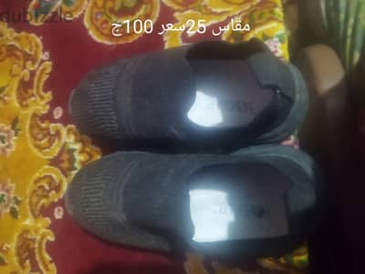 الوراق شارع عبد المنعم رياض