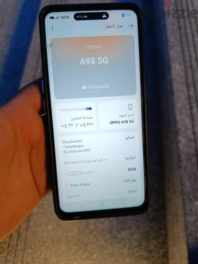 شبرا الخيمة  القليوبية