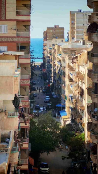شقه للبيع في اسكندريه شاطئ النخيل في قلب الخدمات والأسواق دقائق للبحر تصلح للسكن والاستثمار الجيد