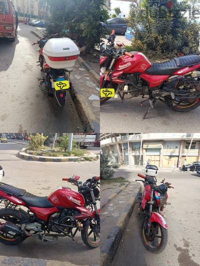 benilie vlr sport 2018