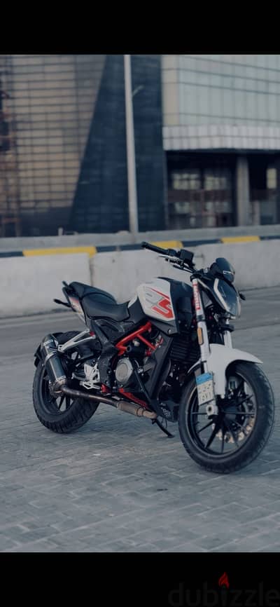 Tnt 250 2022