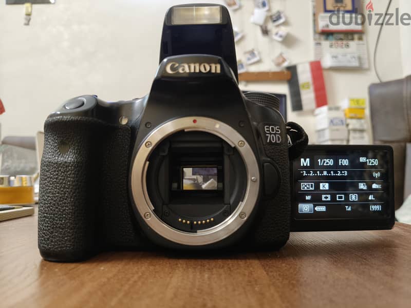 Canon  D70 1
