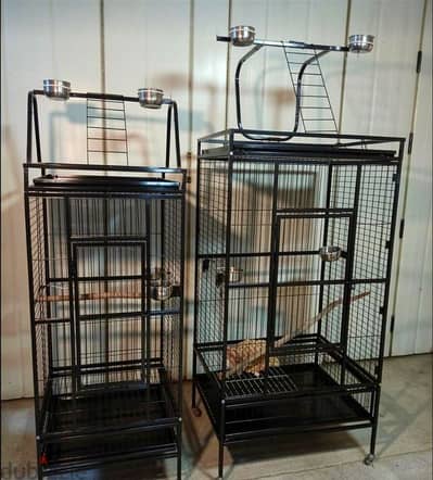 cages Parrot