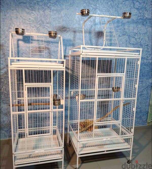 cages Parrot 1