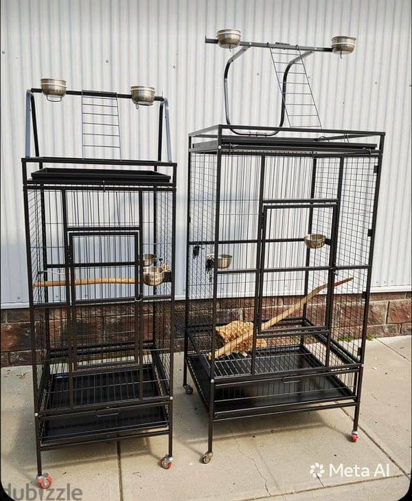 cages Parrot 2