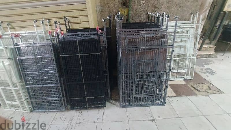 cages Parrot 4