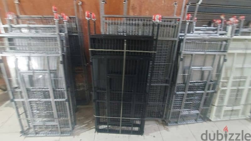 cages Parrot 5