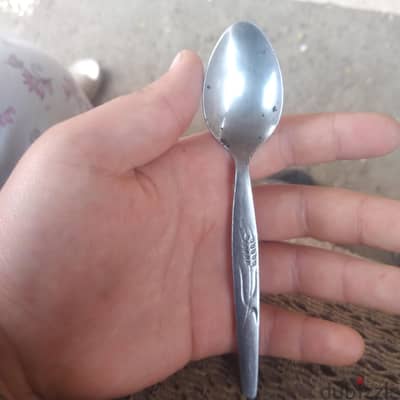 دسوق كفر الشيخ