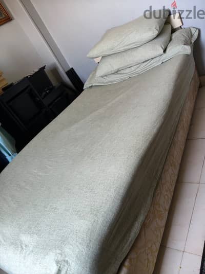 سرير شباب