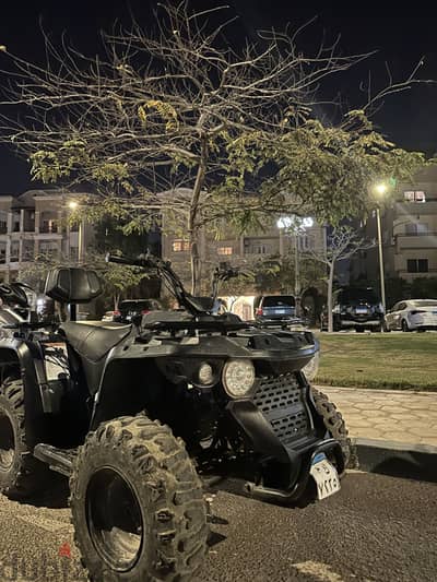 Beach buggy