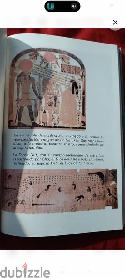 spinach history book