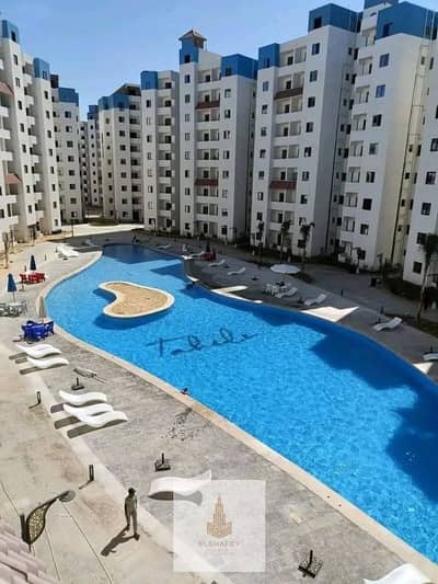 50 sqm Chalet for Sale in Tahiti North Coast with EGP 300,000 Discount – 1 Bedroom – Fully Finished – Price EGP 1,150,000