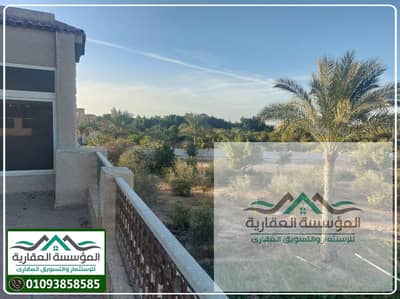 ارض مزروعة باشجار الزيتون والنخيل وبها فيلا مبنية - الارض مساحة 3700 متر - موقع مميز جدا بجوار طريق مصر اسكندرية الصحراوي و محطة القطار السريع