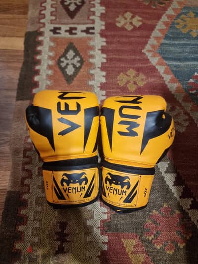kick boxing gloves  اصلي حالة جيدة  استعمال بصيط اقل من شهر