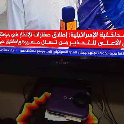 الجيزة البدرشين