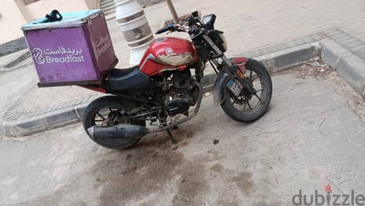 حدائق العاصمه مدينه بدر