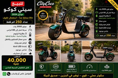 Scoter