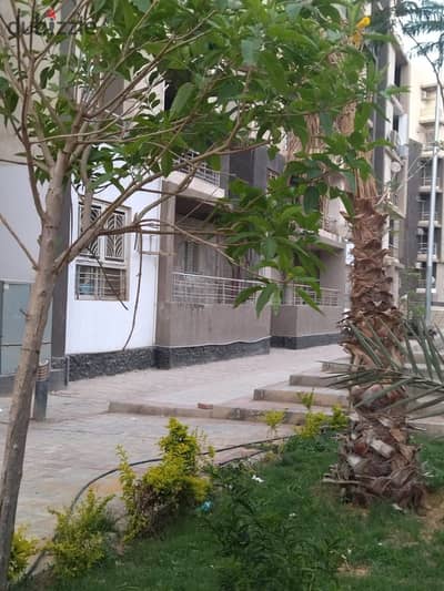 للبيع شقه في كومبوند دار مصر القرنفل التجمع الاول مباشره امام بوابه 24 الرحاب و السوق الشرقي وامام مديريه الامن وخلف مكتب النائب العام