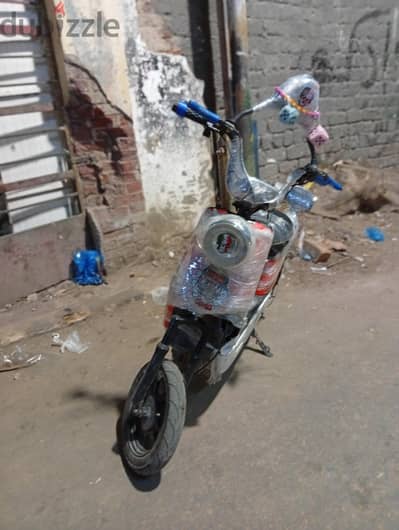 سيدي جابر الاسكندريه