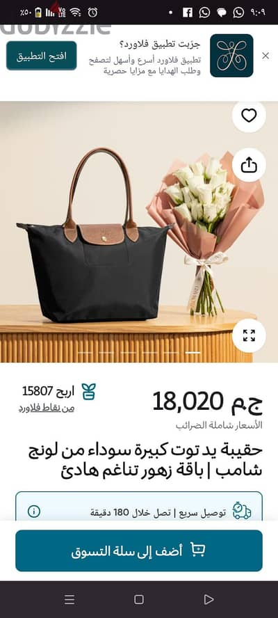 فيصل والهرم