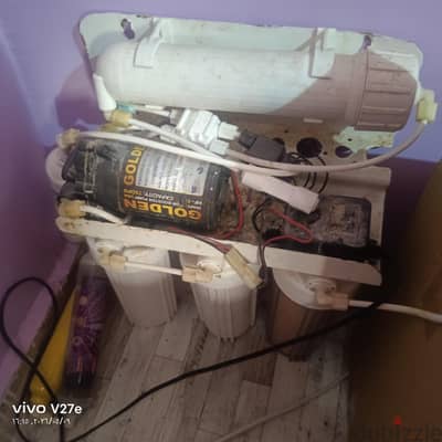 العصافره بحر