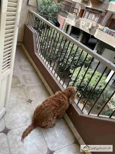 2 Bedrooms 120 sq.M Apartment for sale 4,000,000 EGP in Sarayat El Maadi, Maadi