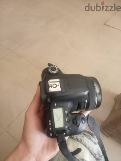 كانون 77 D