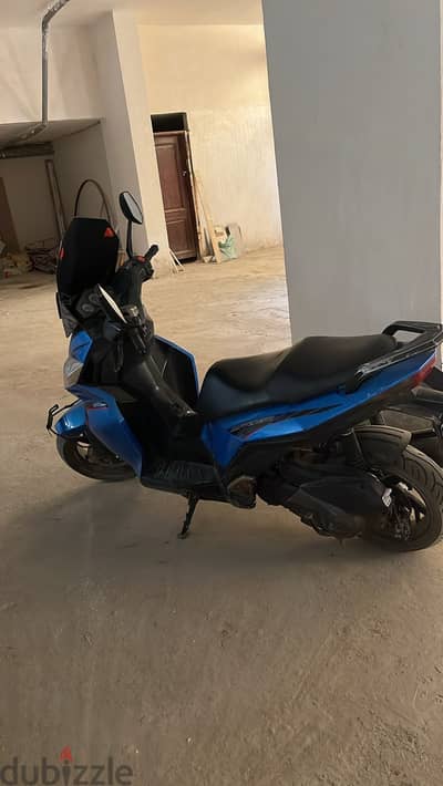 كافينيرو سبورت 2019