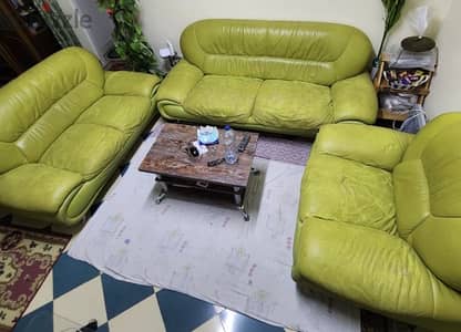 زهراء مدينه نصر