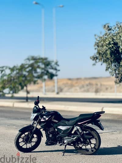 الشيخ زايد