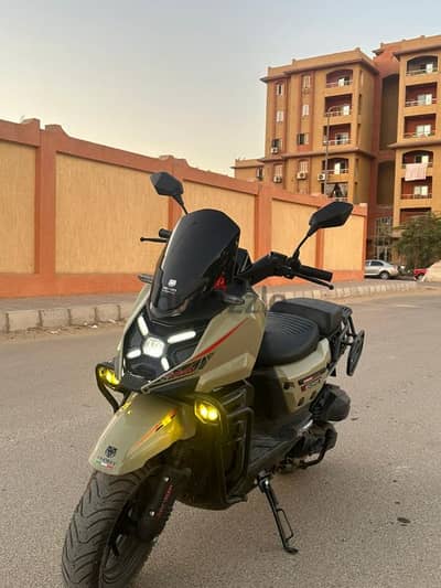 زهراء مدينه نصر