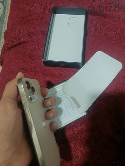 12 برو ماكس