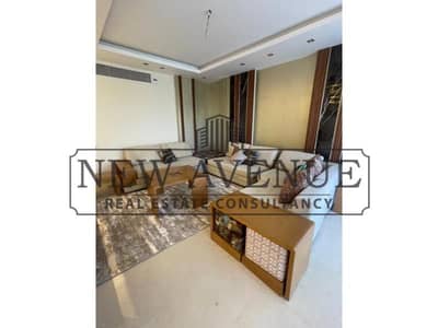 ready to move fully furnished penthouse with AC's