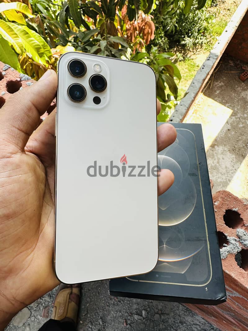 iPhone 12 Pro Max 2