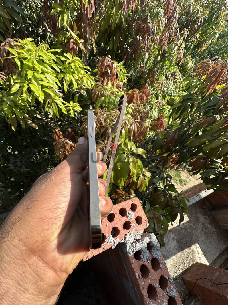 iPhone 12 Pro Max 3