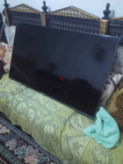 الاسكندرية العصافرة