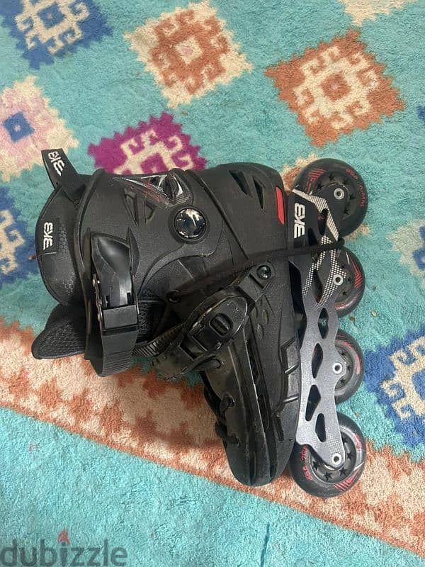 skate flying eagle 2