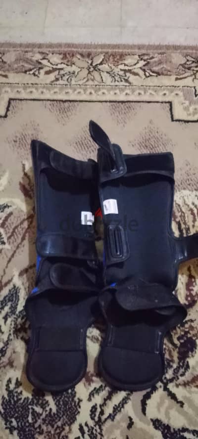 القاهره عزبة النخل