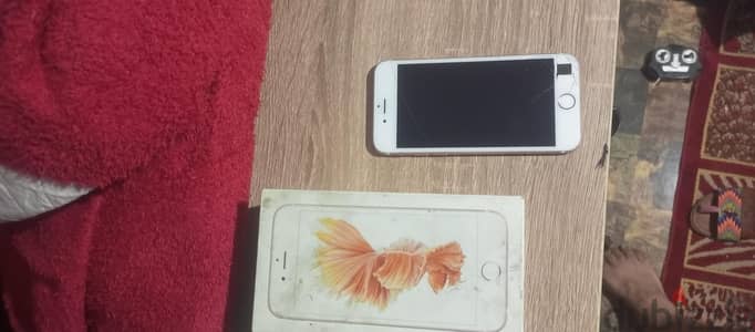 العباسية