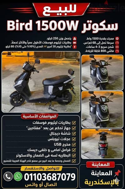  للبيع كسر زيرو - سكوتر Bird 1500W (إنتاج الهيئة العربية للتصنيع)