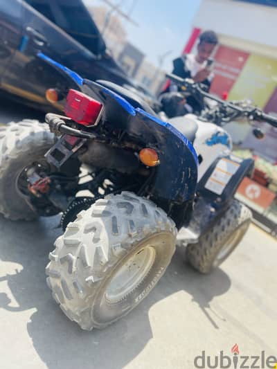 بيتش ب