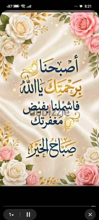 السويس حى الجناين