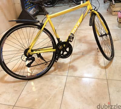TRINX R 300