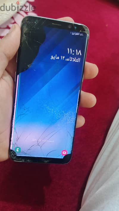 شبراخيت البحيرة