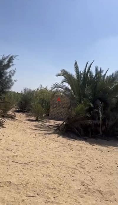ارض زراعية مسجلة بوادي النطرون
