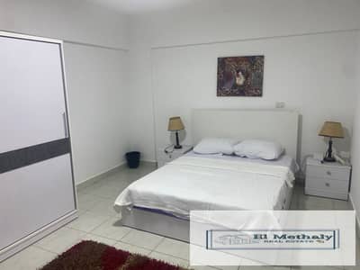 شقه مفروش للايجار بالقاهره الجديده مدينه الرحاب بالمرحله التاسعه new cairo