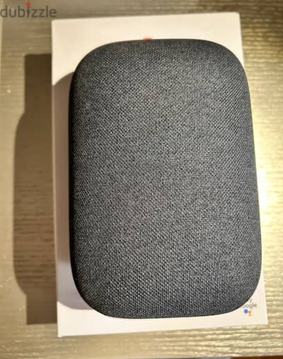 Google nest audio