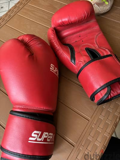 Boxing gloves + hand wraps